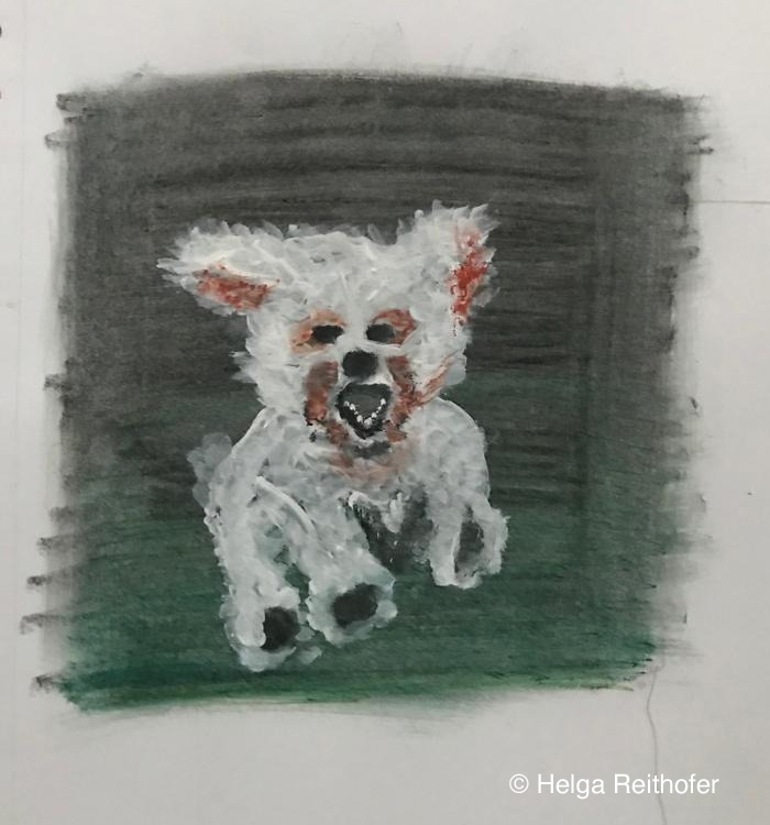 Hundezeichenkurs von Barbara Baumann