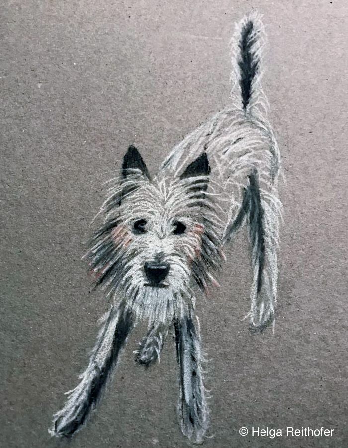 Hundezeichenkurs von Barbara Baumann
