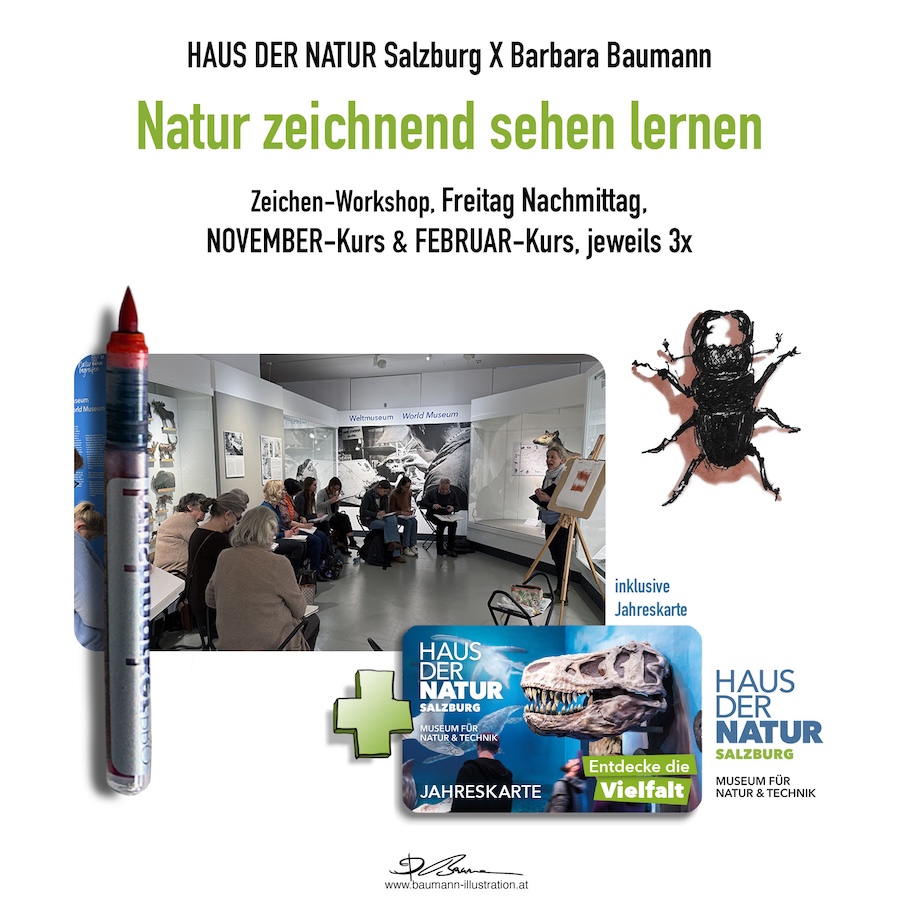 Zeichenkurs im Haus der Natur mit Barbara Baumann
