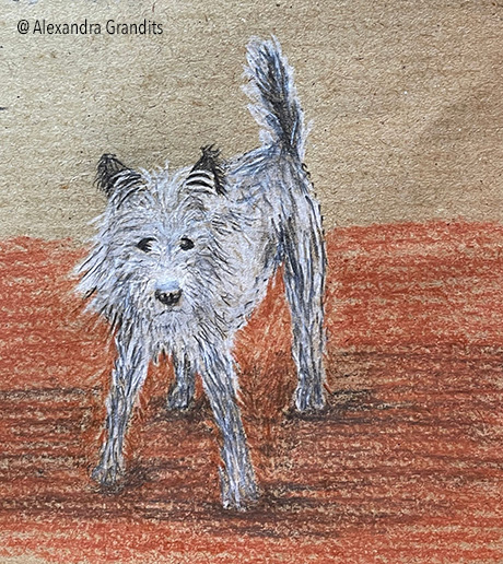 Hundezeichenkurs von Barbara Baumann Bild von Kursteilnehmerin Alexandra