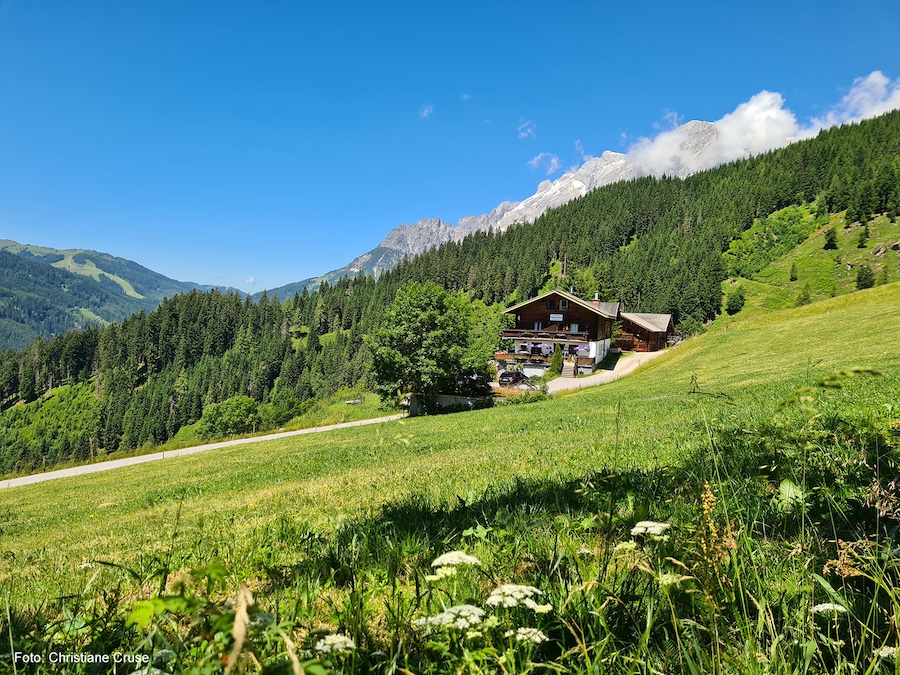 Alpengasthof Rapoldsberg