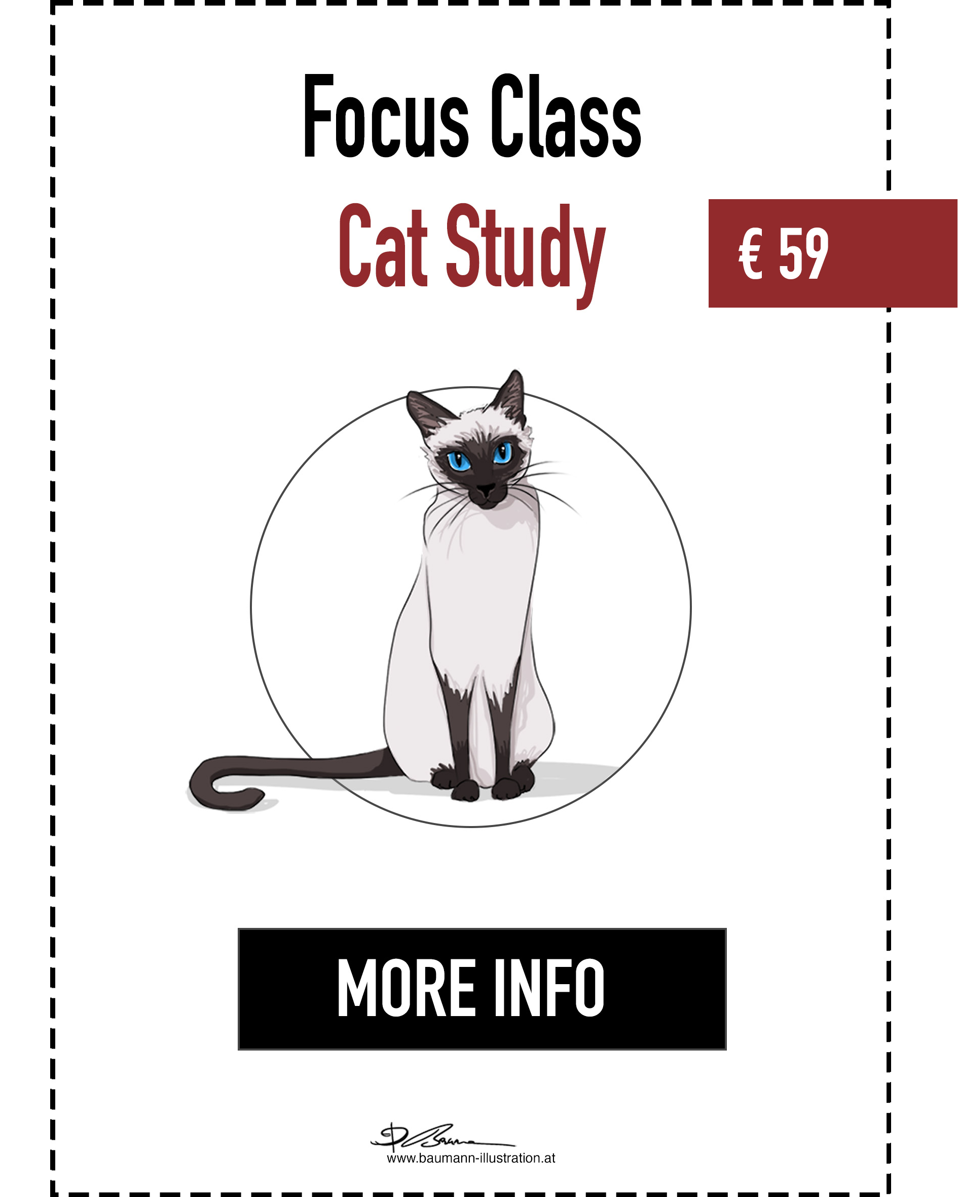Cat Drawing Focus Class by Barbara Baumann