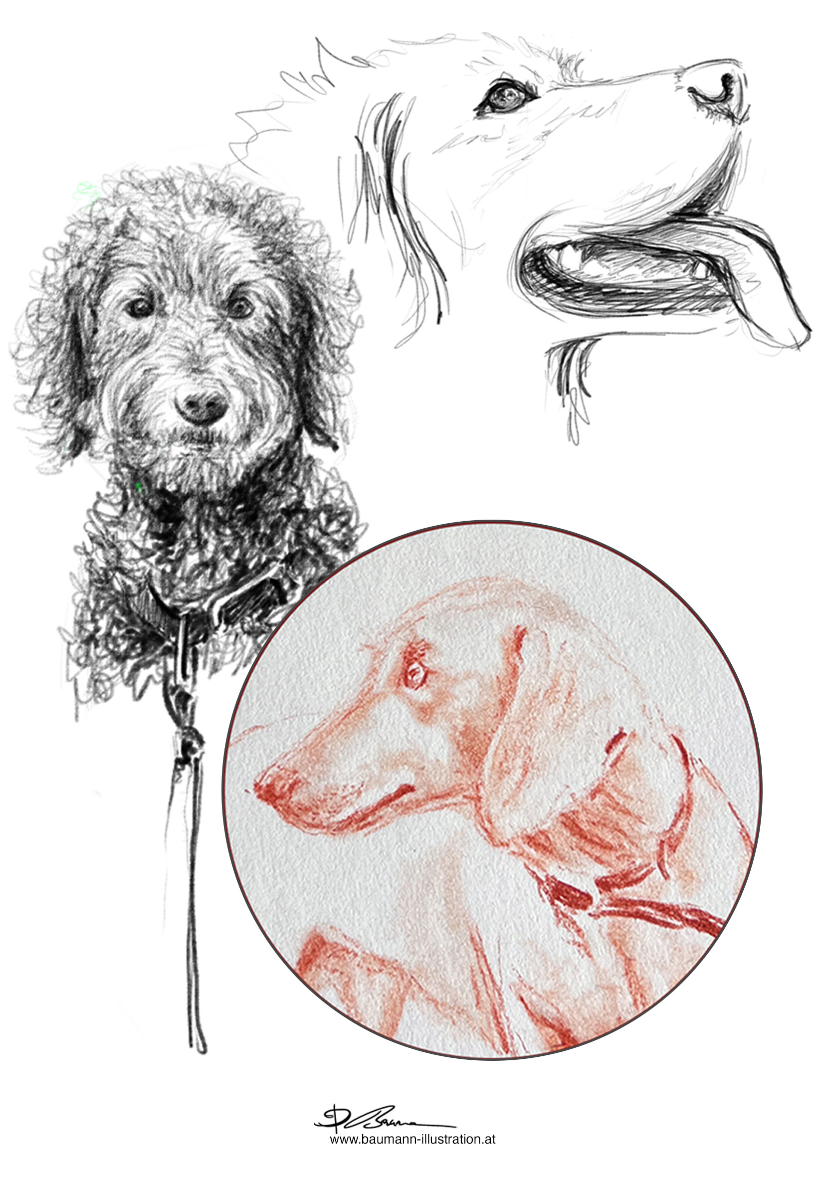 Hundezeichenkurs von Barbara Baumann