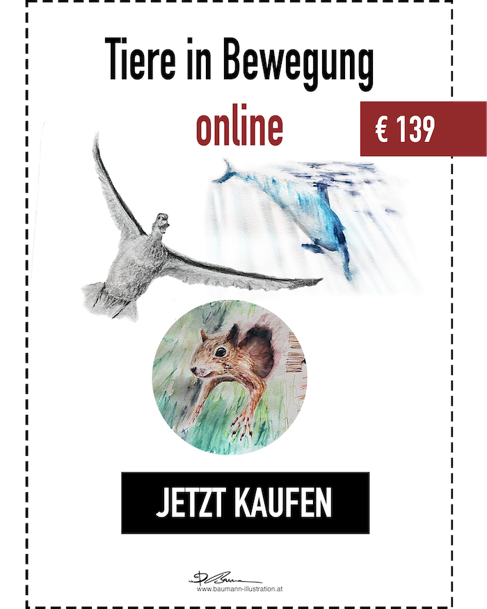 Zeichenkurs Tiere in Bewegung von Barbara Baumann