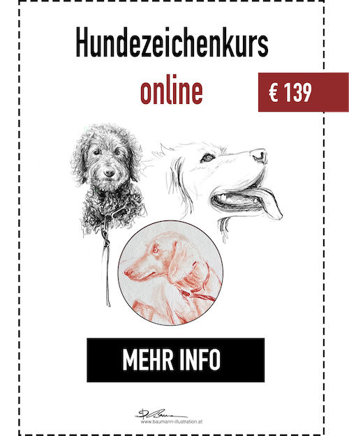 Hunde Zeichenkurs Online mit lebenslangem Zugang von Barbara Baumann