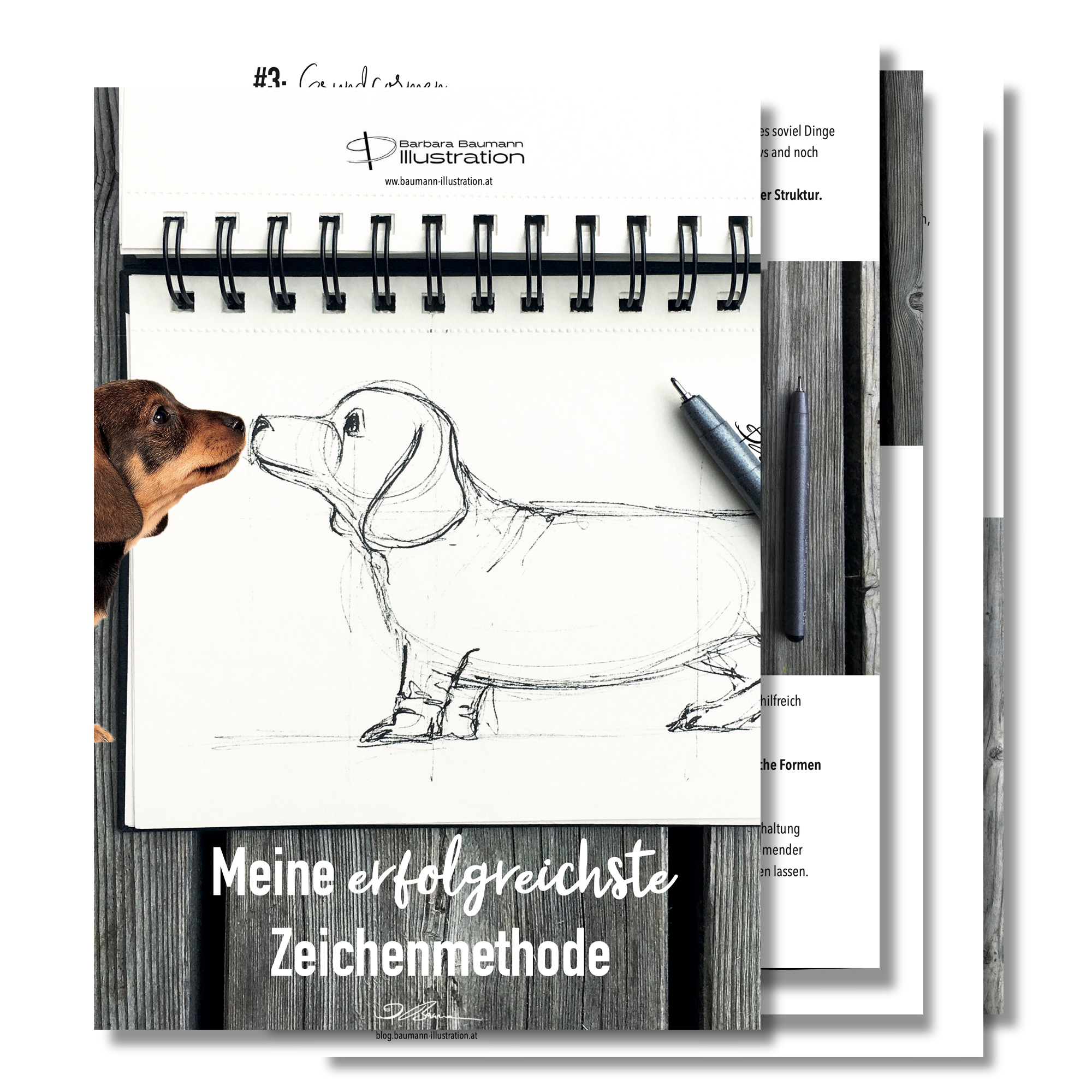 Workbook von Barbara Baumann