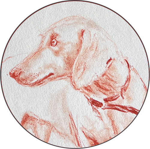 Dachshund by Barbara Baumann
